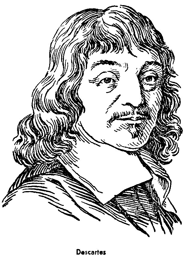 Método de Descartes | Flashcards
