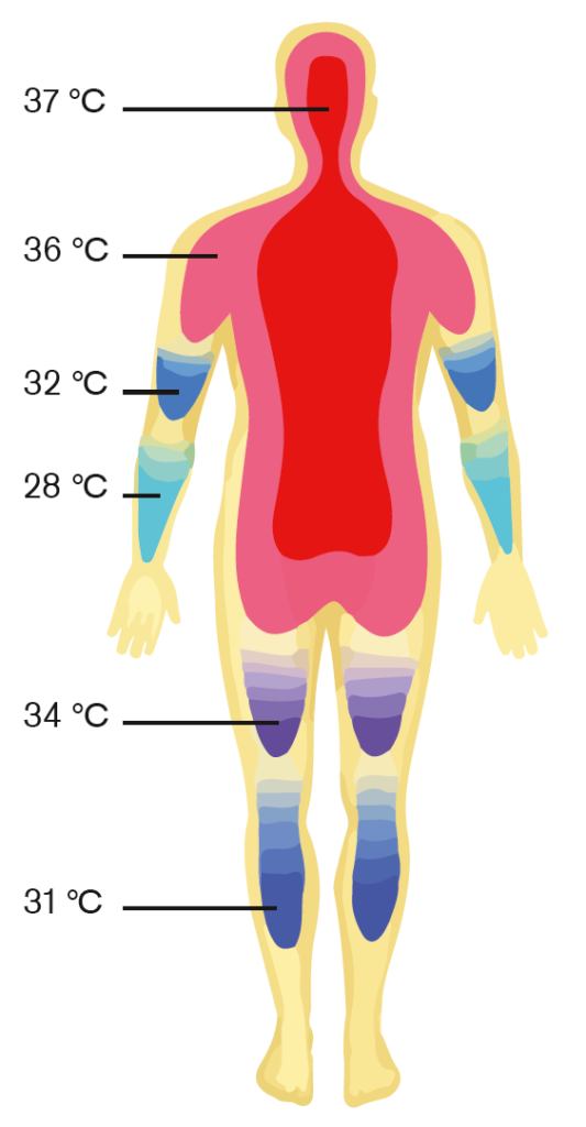 Temperatura 