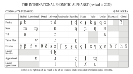 Phonetics and Phonology | Mind Map