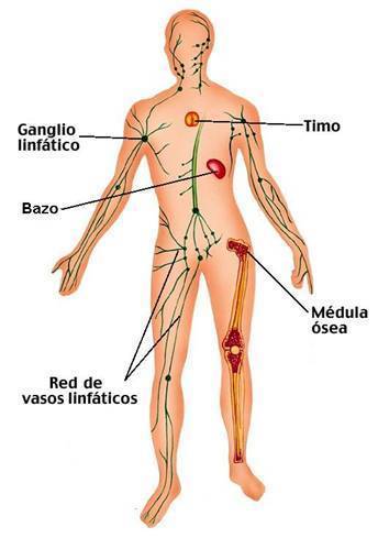 Cuerpos externos, Sistemas