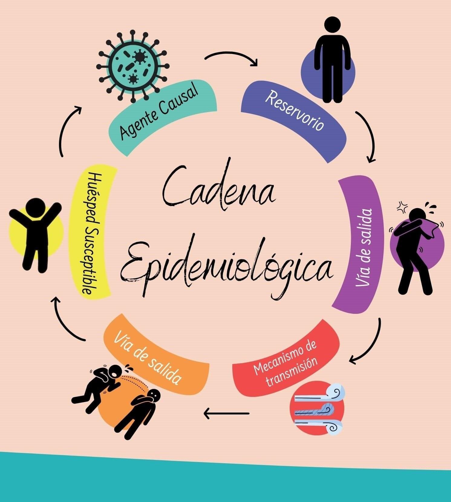 Cadena Epidemiologica Epidemias Infeccion Images Images