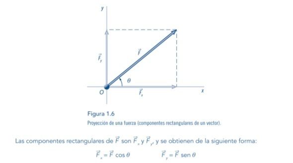 ESTÁTICA | Mind Map