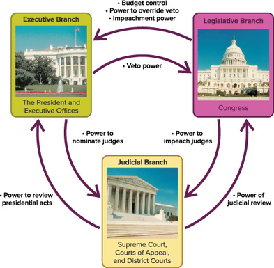 The Constitution | Flowchart