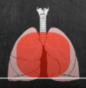 Ausculta Pulmonar | Flashcards