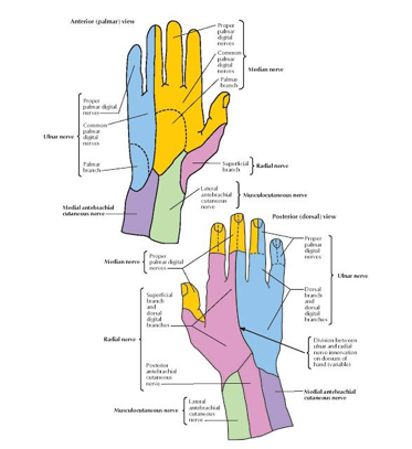 RHEUMATOID ARTHRITIS | Mind Map