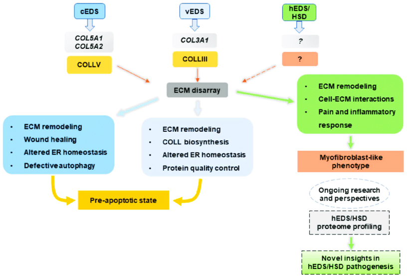 Organizadores Graficos Mind Map