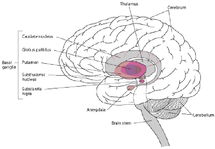 Enfermedad De Parkinson Mind Map