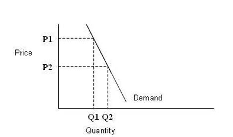 CH 15 ELASTICITY OF DEMAND | Flashcards