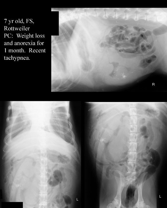 Radiology CAP | Flashcards