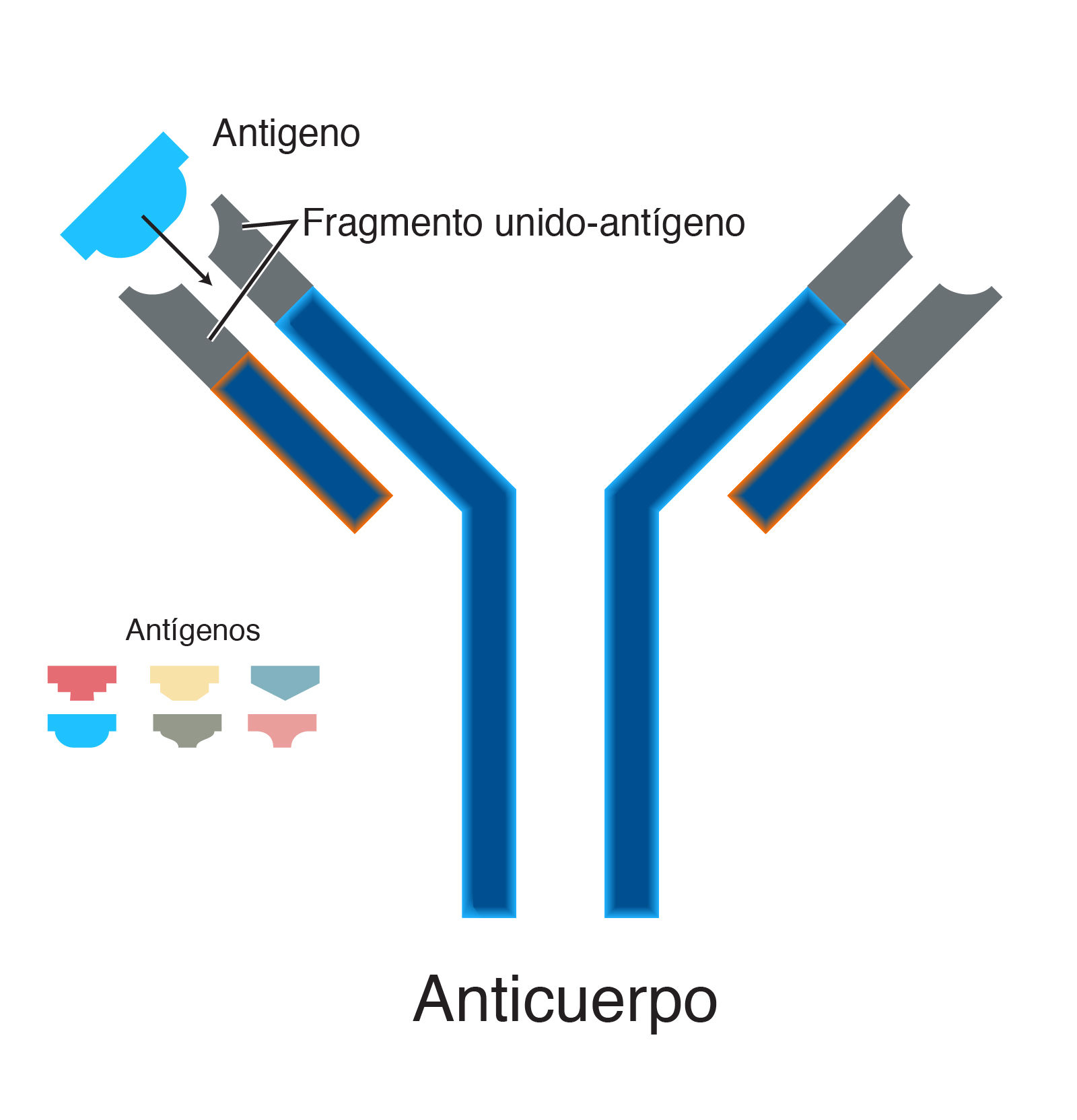 Sistema Inmunológico | Mind Map