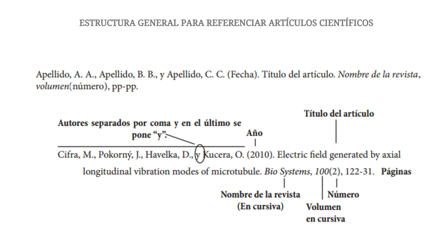 FICHAS NORMA APA | Flashcards