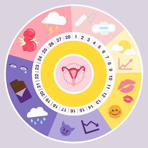 Métodos Para Conocer El Ciclo Menstrual Flashcards 7818