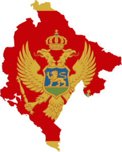 FSIETC Montenegrin