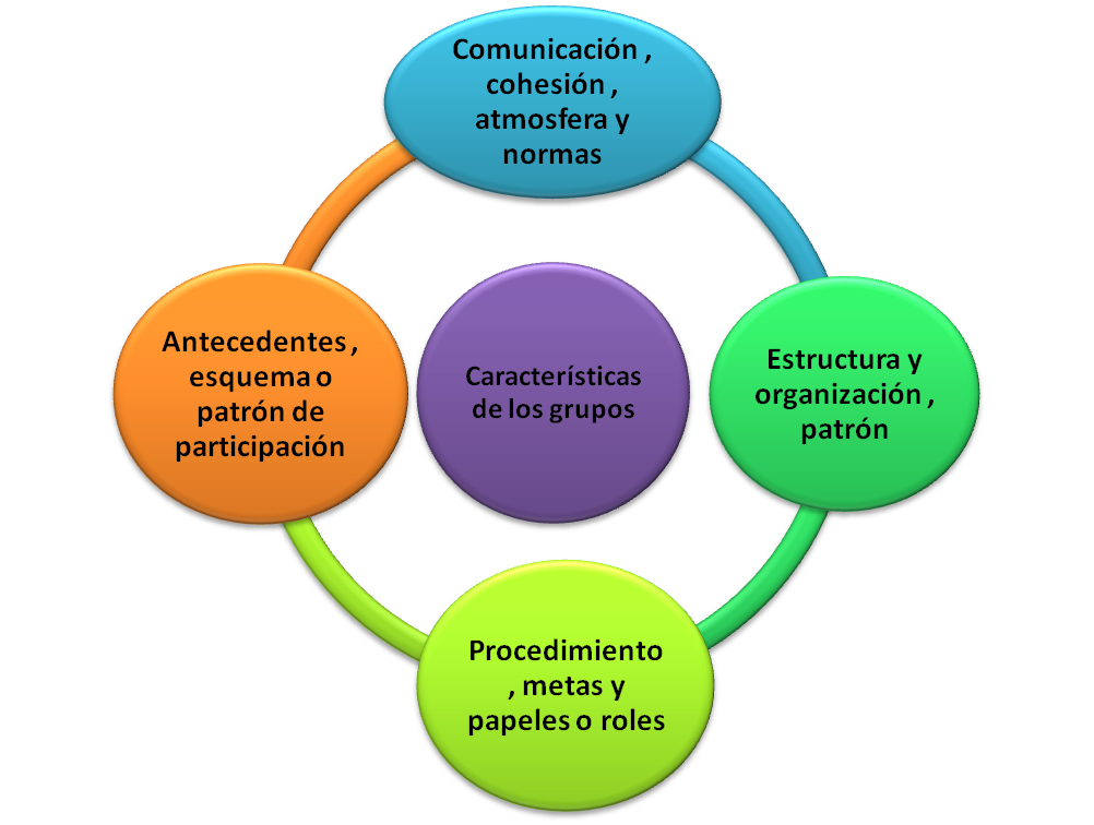 La organización de los grupos sociales | Mind Map