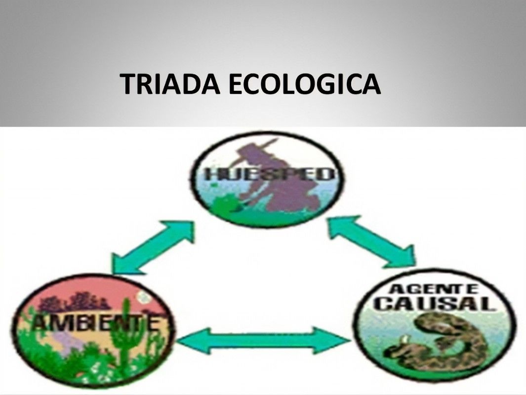 Triada Ecológica Mind Map 9338