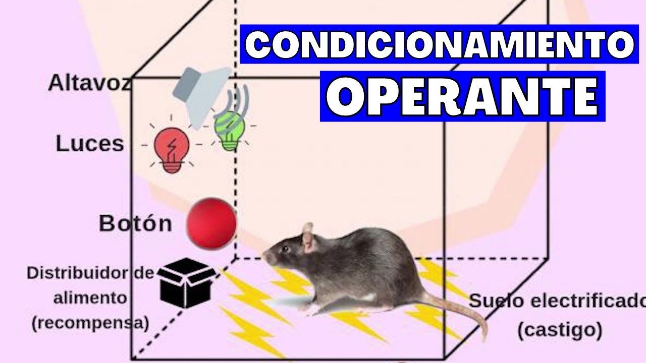 Cuadro Comparativo Entre El Condicionamiento Clásico Y Operante. | Mapa ...