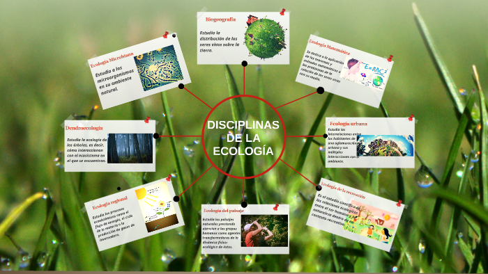 Las Generalidades De La Ecología | Mind Map