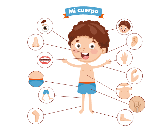 Conciencia y Esquema corporal | Mind Map