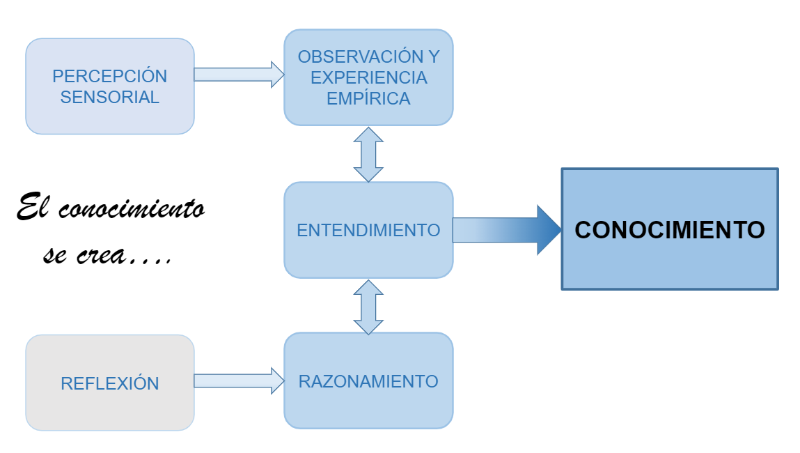 Unidad 1 | Flashcards