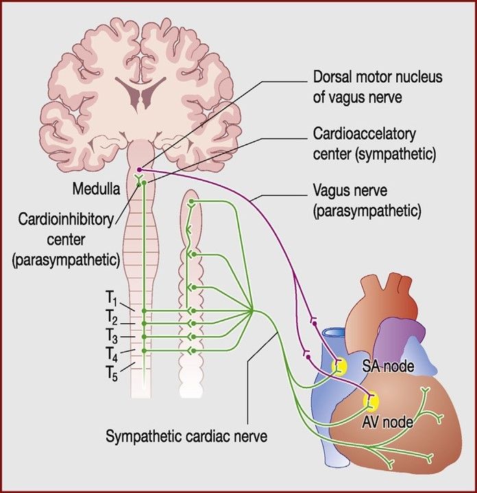 Sick sinus syndrome | Mind Map