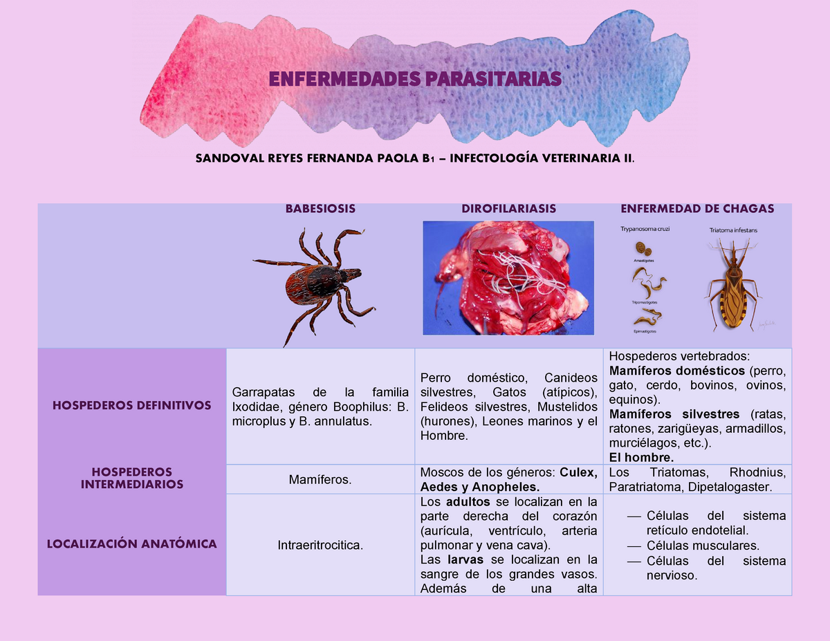 PATOLOGÍAS DEL SISTEMA REPRODUCTOR | Mind Map