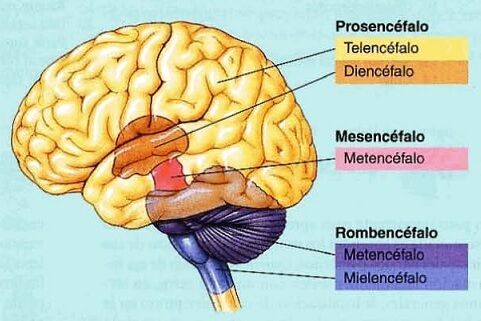 Changing the way you learn | Mind Map