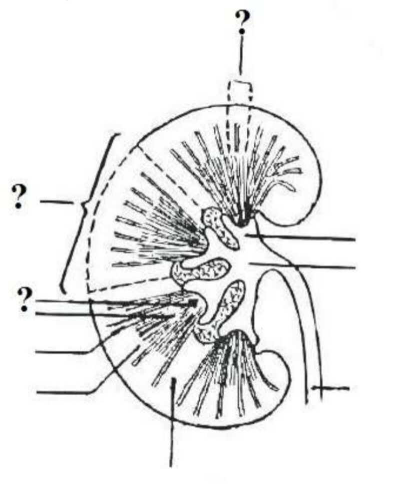 IMAGINI 1620-1648 | Quiz