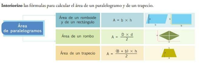 Área De Paralelogramos Y Trapecios Mind Map