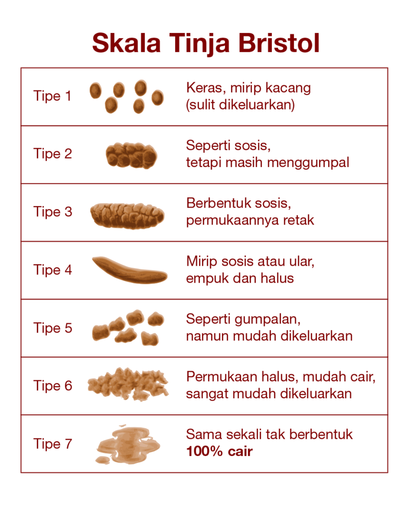 Kuis Praktikum Patologi Klinik Modul GI | Flashcards