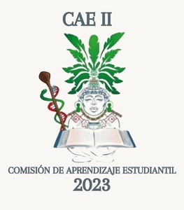 CAE  2023