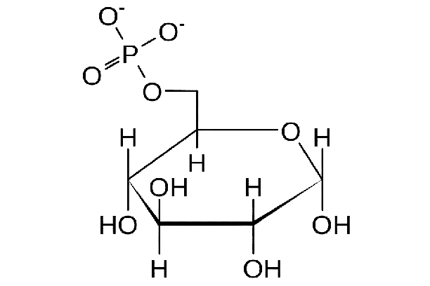 GLUCOSA | Mind Map