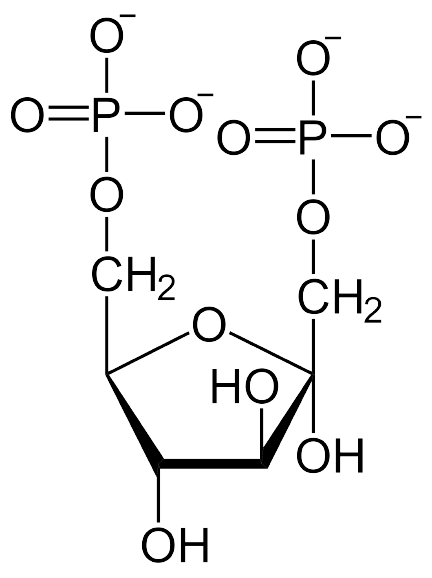 GLUCOSA | Mind Map