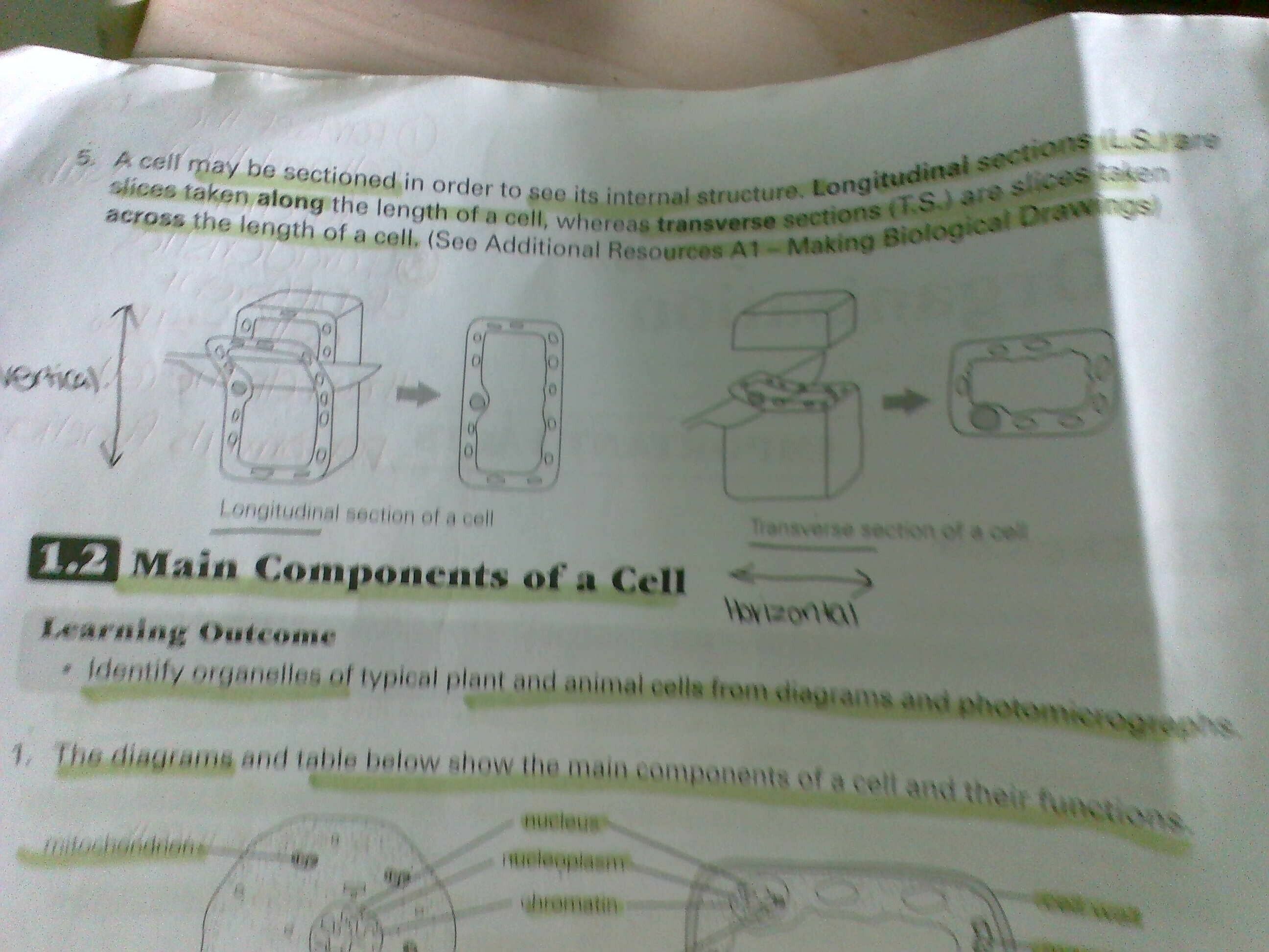 O Level Biology Syllabus Flashcards