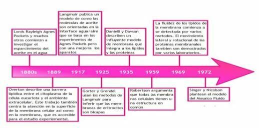 Organizadores gráficos | Mind Map