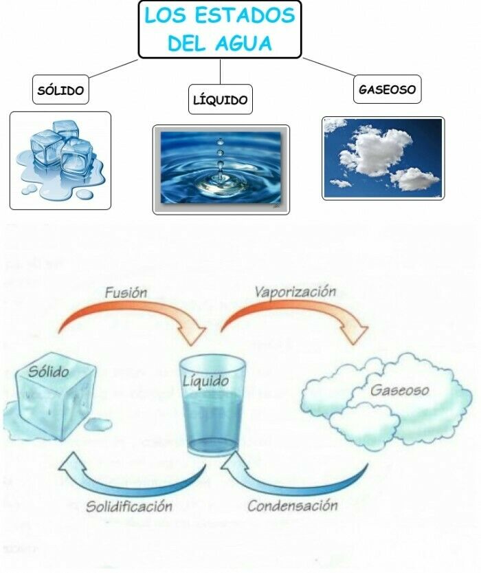 El agua | Flashcards