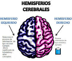 Especializacion Hemisferica y Lateralizacion | Mind Map