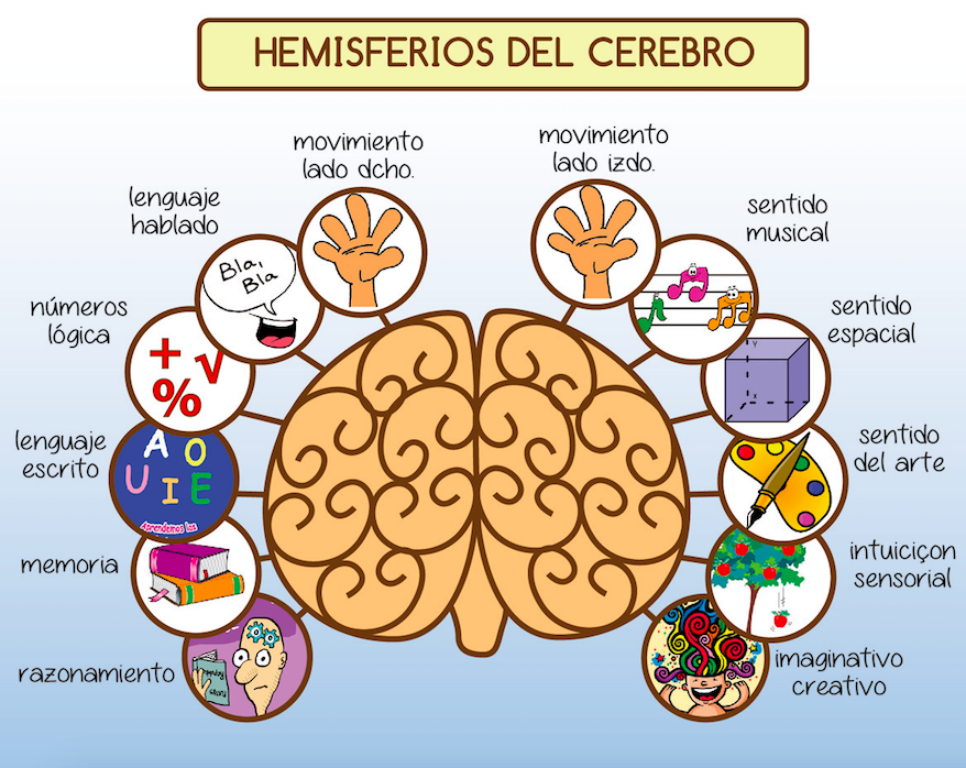 El Cerebro Y La Lectoescritura Mind Map