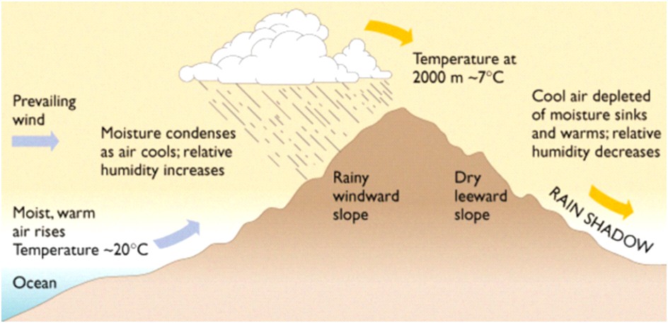 Humidity and Rainfall | Mind Map