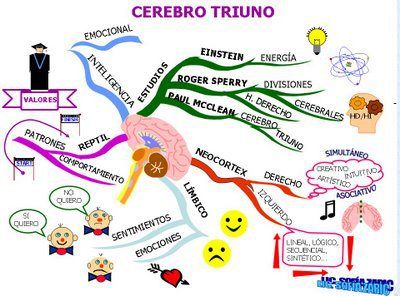 ENFOQUE NUEROCIENCIA | Mind Map