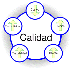 Organización e implementación de la calidad del servicio | Mind Map