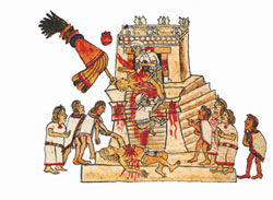 Elementos Constitutivos del Derecho Prehispánico | Mind Map