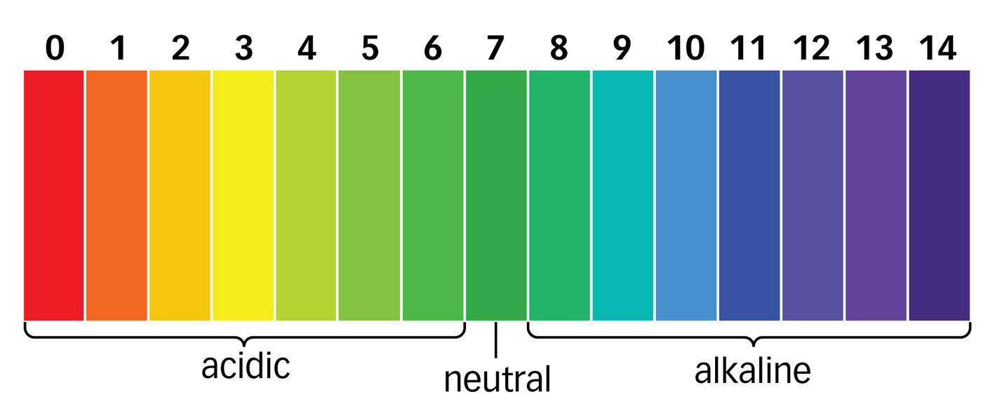 Acids And Alkalis 