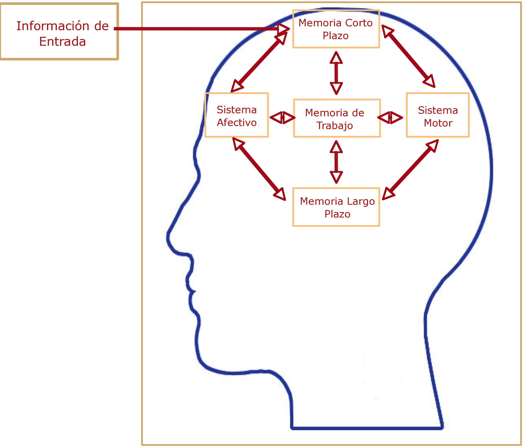 Tejido Nervioso Mind Map 