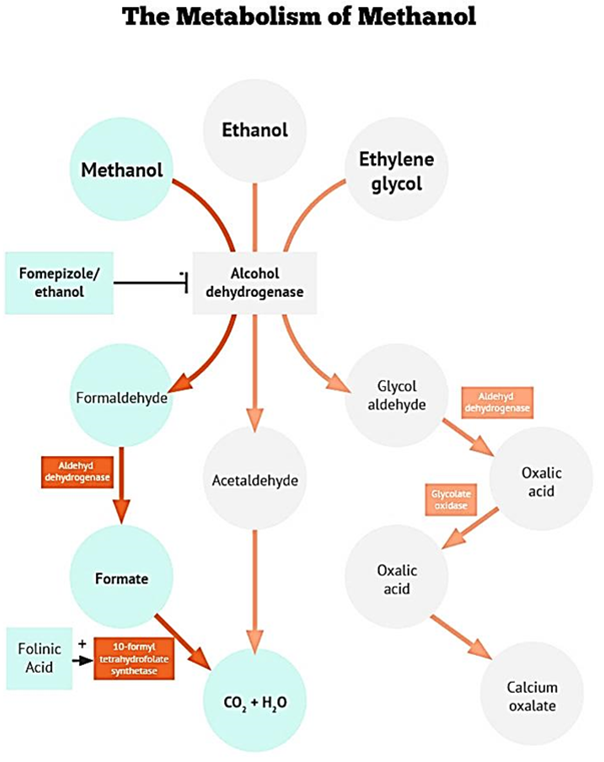 FunMed 4: Methanol Poisoning | Mind Map