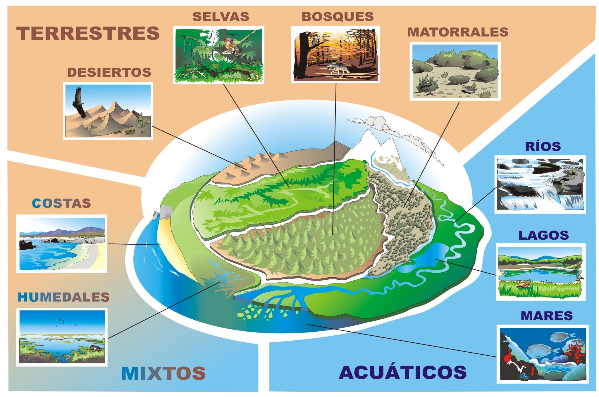 ECOSISTEMA | Mind Map