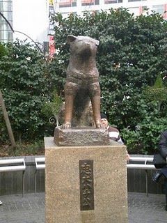 HACHIKO(ハチ公) | Mind Map