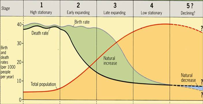 Demographic Transition Model (DTM) | Mind Map