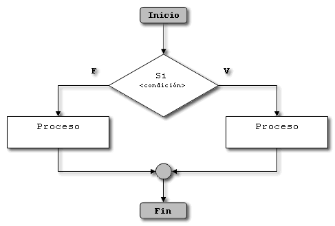 Resultado de imagen para condicional if programacion