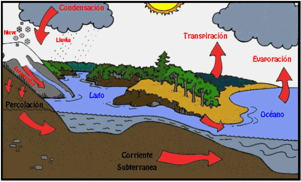 El porque la maravillas del agua | Mind Map