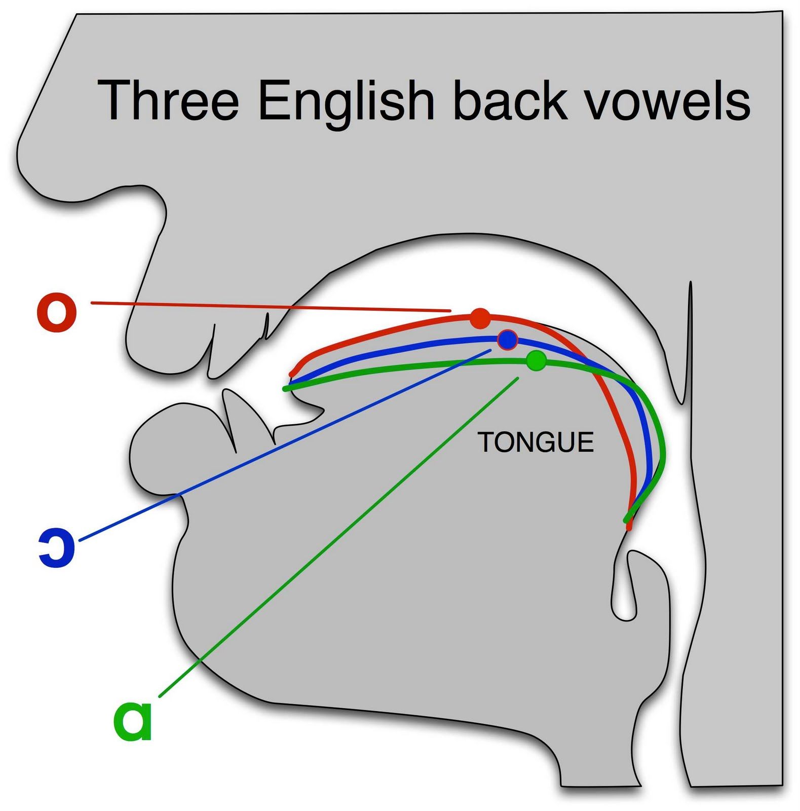 Sunday Phonetic Transcription